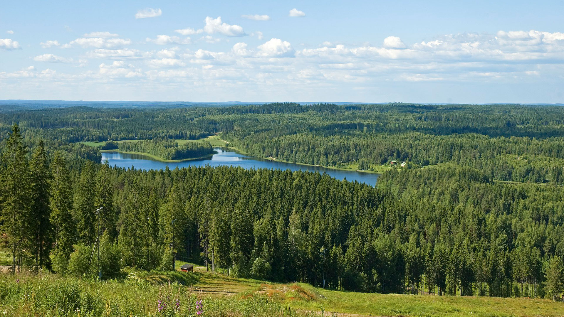 Myytävät kohteet ja tontit